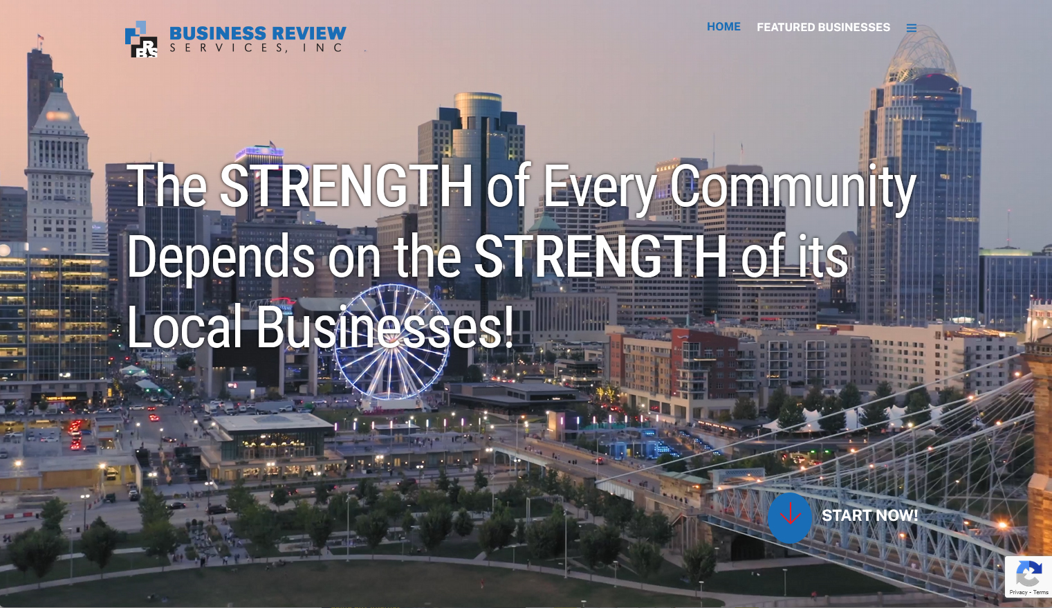 Business Review Services Business Review Services